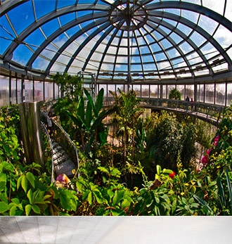 Купольная крыша зимнего сада из стекла